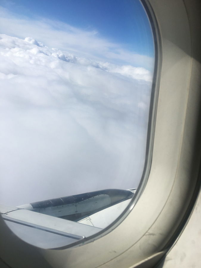 View from an aeroplane window showing the wing and engine below, with a blanket of white clouds and a blue sky above.