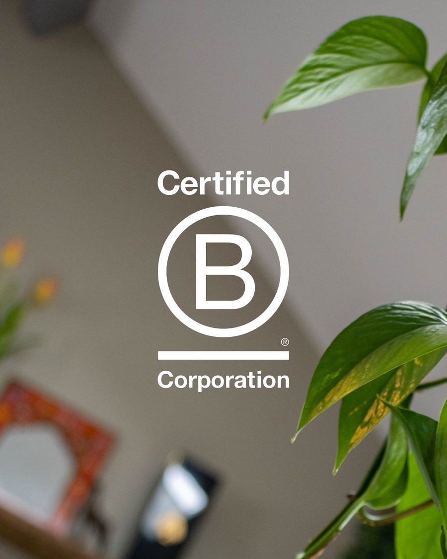 Certified B Corporation logo overlaid on a blurred indoor background with green plant leaves in the foreground.