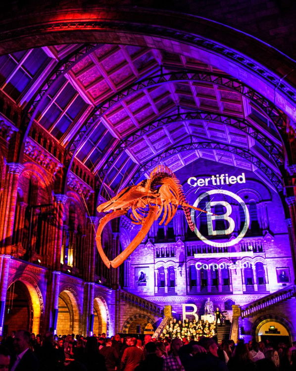 A large skeleton of a whale is suspended from the ornate, arched ceiling of a grand hall lit with colourful purple and orange lights. A crowd gathers below a Certified B Corporation logo projected on the wall.