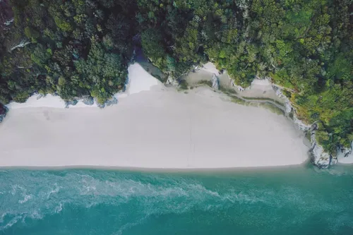 Aerial view of a secluded beach with white sand, turquoise water, and dense green forest bordering the shoreline. The waves gently meet the sand, and natural vegetation surrounds the coast.