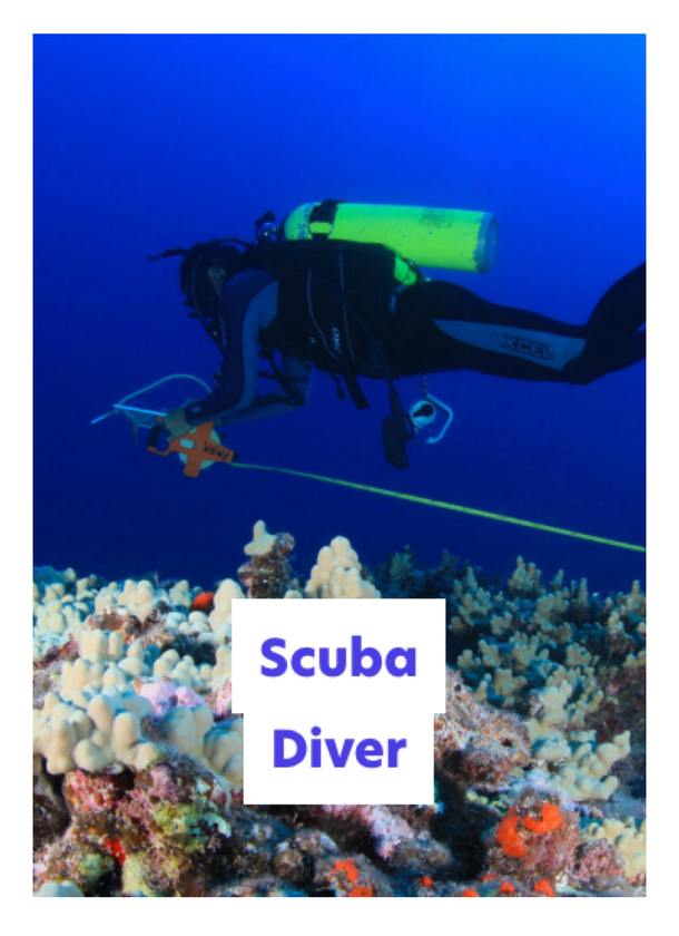 A scuba diver in a wetsuit and yellow cylinder swims above a coral reef, holding a measuring tool and a yellow line. The words Scuba Diver appear in a white box at the bottom centre.