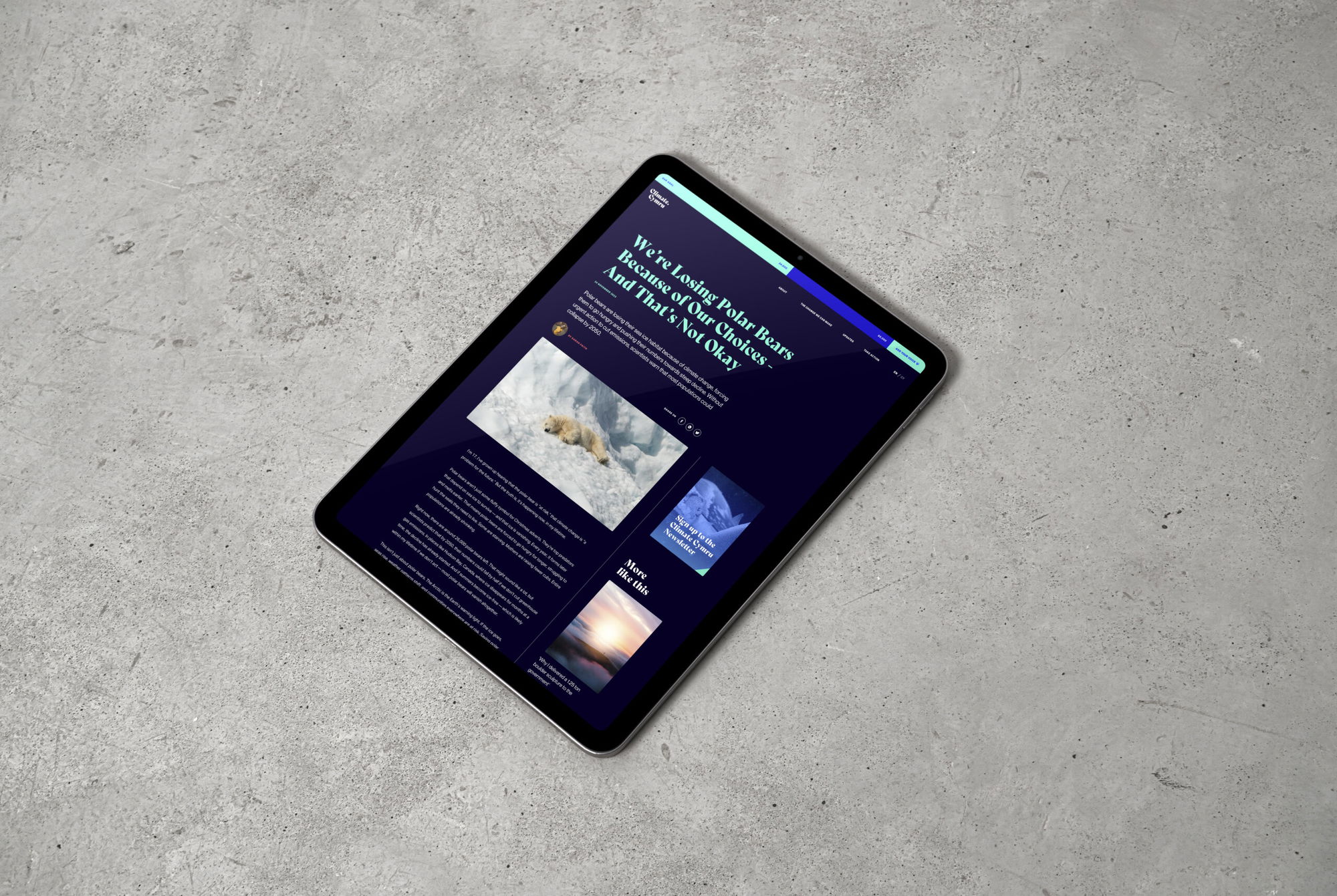 A tablet with a website open, displaying an article with text, an image of a polar bear on snow, and sections for other articles, lying on a light grey concrete surface.