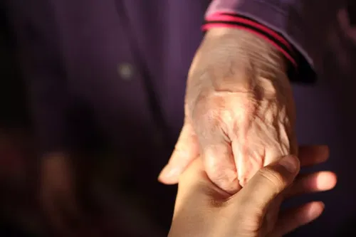 A younger hand gently holds an older person's hand, both illuminated by soft sunlight, conveying care and connection. The older person wears a purple sleeve with a red-trimmed cuff.