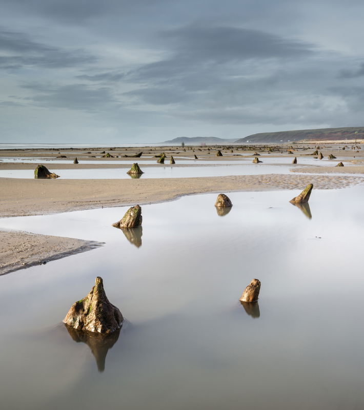 Tree stumps emerging from shallow water pools on a sandy beach under a cloudy sky, with distant hills visible on the horizon.