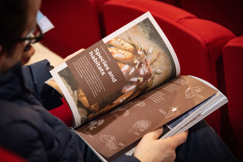 A person sits on a red chair and reads an open book or magazine featuring images and diagrams of marine life, including a close-up of a sea creature under the heading Species and habitats.
